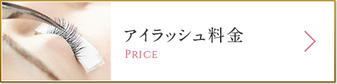 アイラッシュ料金